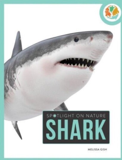 Spotlight on Nature: Shark Spotlight on Nature: Shark