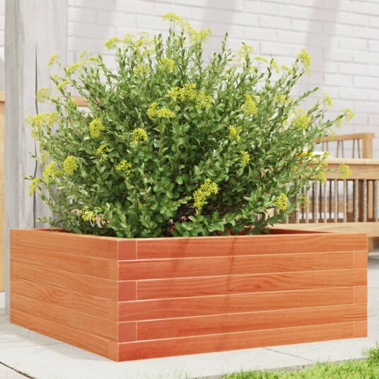 Plantekasse voksbrun 60x60x23 cm heltre furu