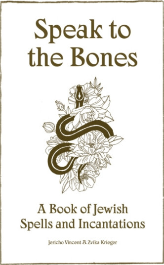 Speak to the Bones A Jewish Book of Spells