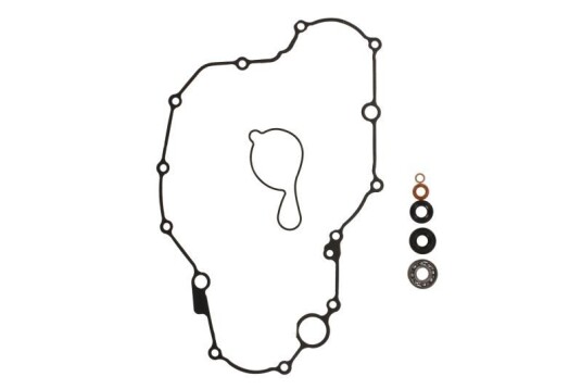 Pakning vannpumpe ATHENA P400485475009