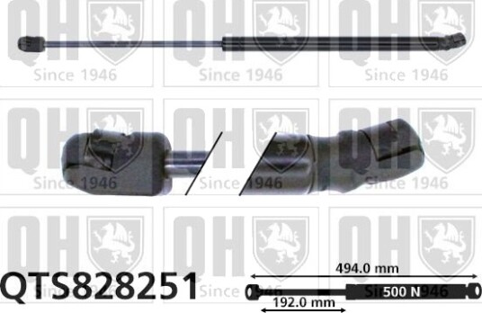 QUINTON HAZELL QTS828251 Baklukedemper