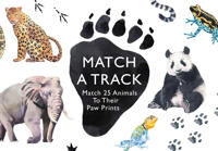 Spill Match A Track Eng Spill Match A Track Eng