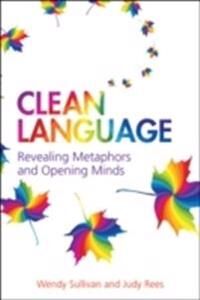 Clean Language Av Wendy Sullivan