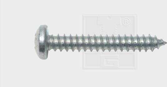 Plateskrue SWGAutomotive 115421780