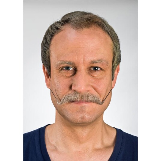 Kryolan Bart #6 Grey