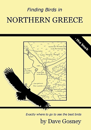Finding Birds in Northern Greece Finding Birds in Northern Greece