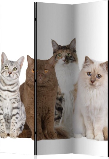 Romdeler Sweet Cats 135x172 - Artgeist sp. z o. o.