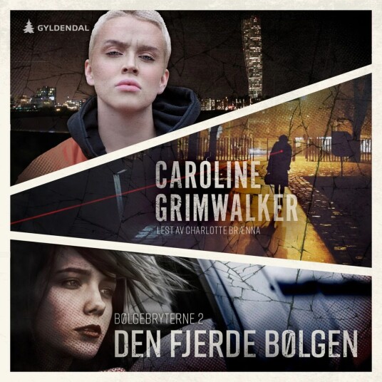 Den Fjerde Bølgen Av Caroline Grimwalker