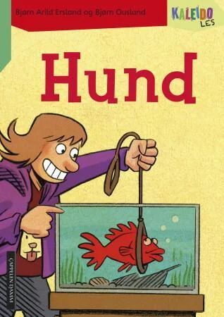 Kaleido Les Av Bjørn Arild Ersland
