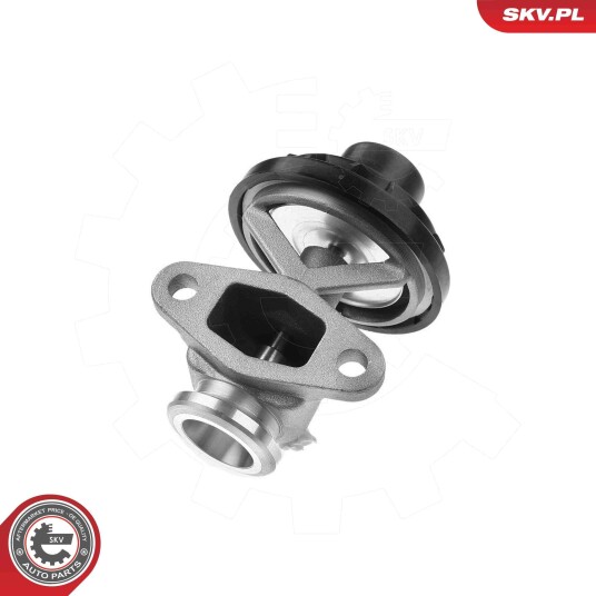 EGR Ventil ESEN SKV 14SKV291