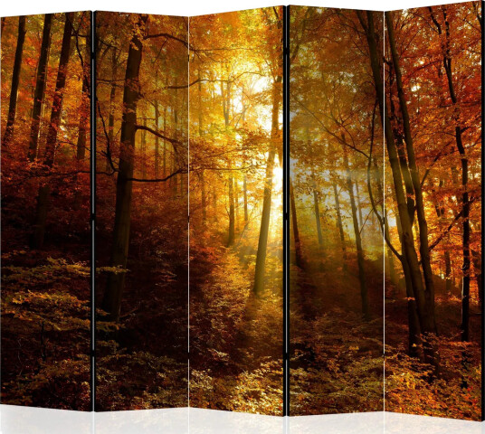 Romdeler - Autumn Illumination II 225x172 - Artgeist sp. z o. o.