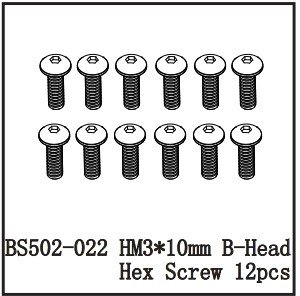 BSD 502-022 HM3*10mm B-Head Hex Screw 12pcs