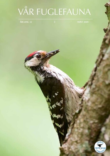 Norsk Ornitologisk Forening Vår Fuglefauna   2009 3 årgang 32