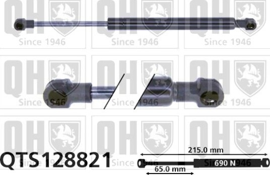 QUINTON HAZELL QTS128821 Baklukedemper QUINTON HAZELL QTS128821 Baklukedemper