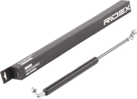 RIDEX 219G0417 Baklukedemper