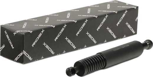 RIDEX 219G0386 Baklukedemper