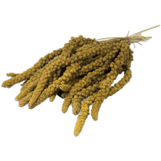 Hirsekolbe Gul 250G Hirsekolbe Gul 250G