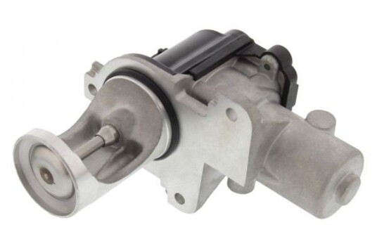 EGR Ventil MAPCO 83829