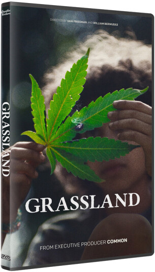 Grassland (2024) DVD