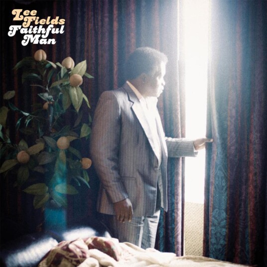 Lee Fields & The Expressions, Lee Fields Faithful Man LP/Vinyl Lee Fields & The Expressions, Lee Fields Faithful Man LP/Vinyl