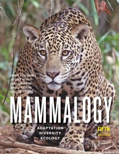 Mammalogy Av George A. (Dr.) Feldhamer, Joseph F. Merritt, Carey (Professor And Director Of Graduate Studies Southern Illinois University) Krajewski,