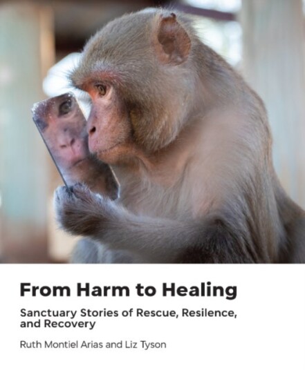 From Harm to Healing From Harm to Healing