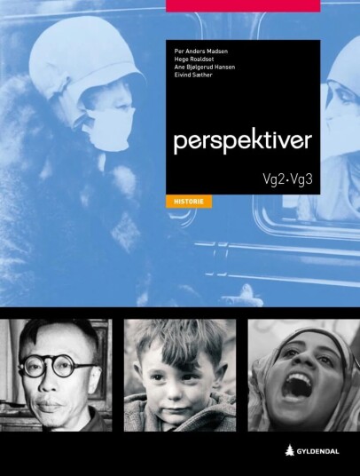 Perspektiver Av Inger Hilde Killerud, Per Anders Madsen, Hege Roaldset, Eivind Sæther