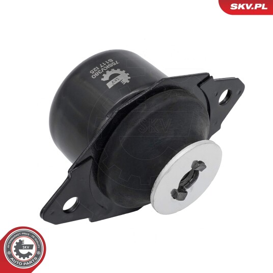 ESEN SKV 75SKV380 Motorfeste