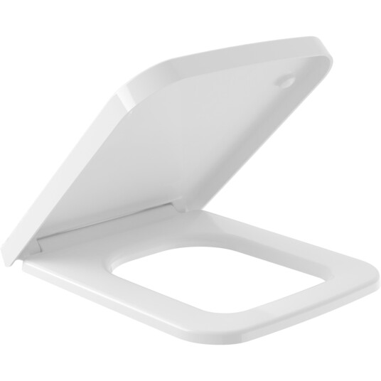 VILLEROY & BOCH FINION TOALETTSETE MED SOFT-CLOSE OG LIFT-OFF, HVIT ALPIN VILLEROY & BOCH FINION TOALETTSETE MED SOFT-CLOSE OG LIFT-OFF, HVIT ALPIN