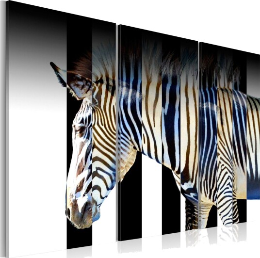 Bilde Stripes 120x80 Artgeist sp. z o. o.