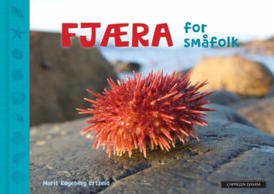 Fjæra For Småfolk Av Marit Røgeberg Ertzeid