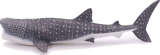 Papo 56039 3 År Marine Life Grå Hvit Pvc