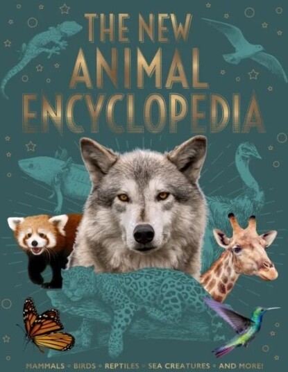 The New Animal Encyclopedia Av Claudia Martin, Dr Meriel Lland, Dr Michael Leach, Claire Philip, Alex Woolf