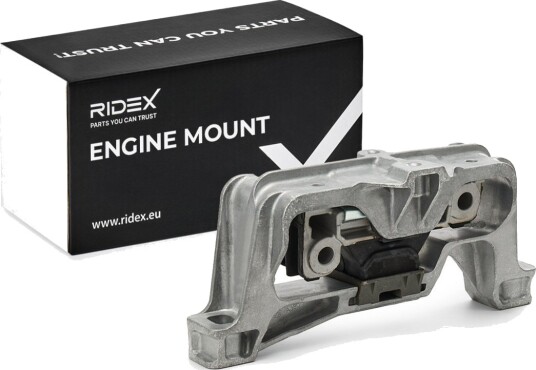 RIDEX 247E1450 Motorfeste