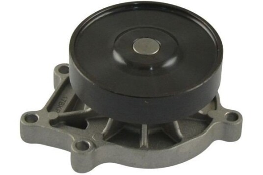 KAVO PARTS TW 1162 Vannpumpe