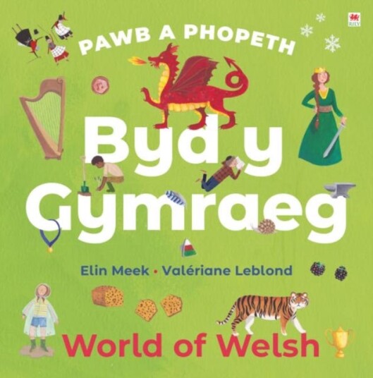 Pawb A Phopeth: Byd Y Gymraeg / World Of Welsh Av Elin Meek