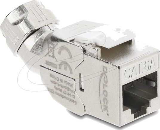 Delock Rj 45 Cat 6A