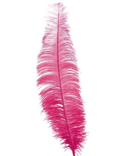12 Stk. Store Rosa Strutsefjær 40 cm