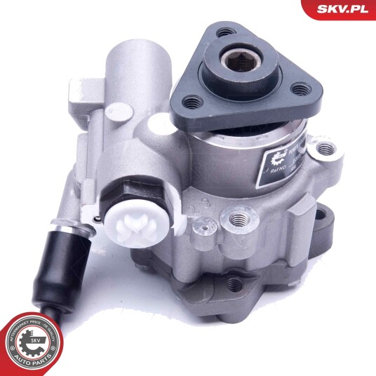 Servopumpe ESEN SKV 10SKV243
