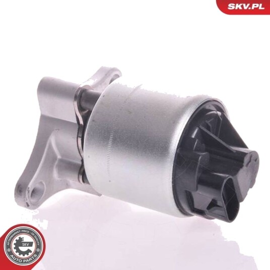 EGR-ventil ESEN SKV 14SKV002