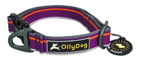 Ollydog Urban Trail Reflective Collar L Wild Aster Ollydog Urban Trail Reflective Collar L Wild Aster