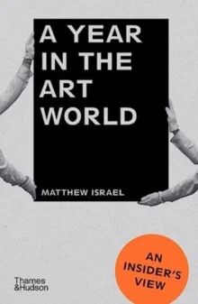 A Year In The Art World Av Matthew Israel