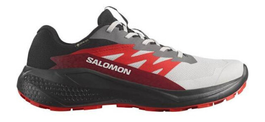 Salomon Alphaglide GTX Herre Lunar Rock/Black/Biking Red 45 1/3