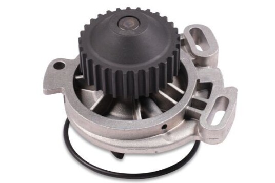 HEPU P534 Vannpumpe