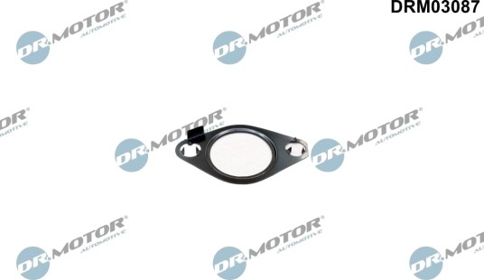 Tetning EGR ventil DR.MOTOR AUTOMOTIVE DRM03087