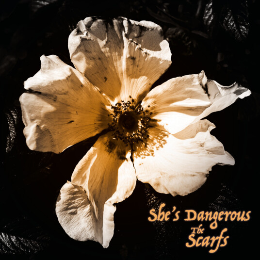 She's Dangerous