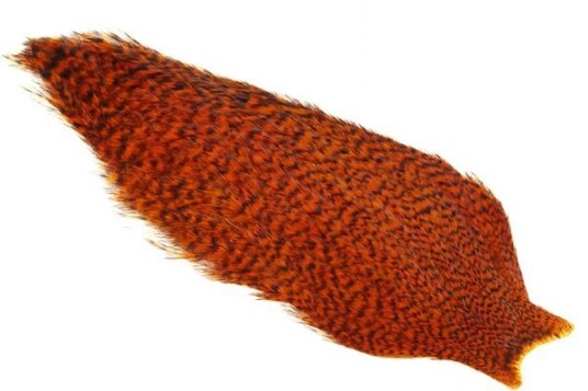 Whiting American Rooster Cape Whiting American Rooster Cape