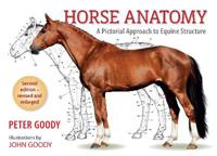 Goody Peter Horse Anatomy