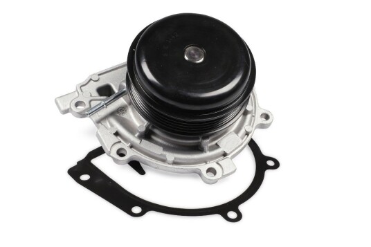 HEPU P1587A Vannpumpe