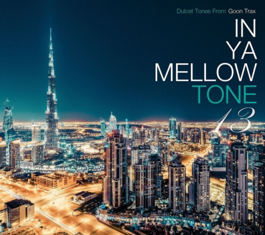 Diverse Artister  In Ya Mellow Tone 13  CD